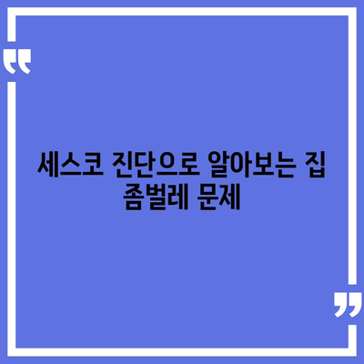 충청남도 청양군 장평면 세스코 가격 및 비용 가이드 | 가정집 후기, 원룸 신청 방법, 집 좀벌래 진단 2024