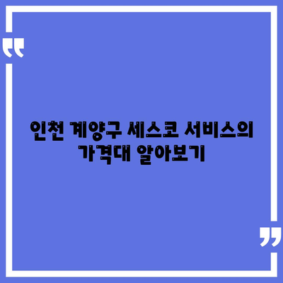 인천시 계양구 계양3동 세스코 가격 및 서비스 후기 | 비용, 원룸 신청, 집 진단, 좀벌래 해결 방법 2024