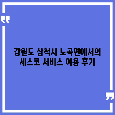 강원도 삼척시 노곡면 세스코 가격 및 비용 가이드 | 가정집 후기, 원룸 신청, 좀벌래 진단 2024"