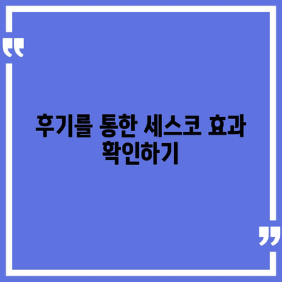 충청북도 괴산군 문광면 세스코 가격과 후기 | 비용, 신청 방법, 가정집 및 원룸 진단 | 2024년 좀벌래 해결책!