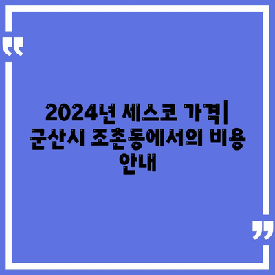 전라북도 군산시 조촌동 세스코 가격과 가정집 후기 완벽 가이드 | 비용, 신청, 진단, 좀벌래 해결법 2024