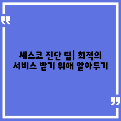 부산시 서구 부민동 세스코 가격과 서비스 | 가정집 후기, 원룸 신청 방법, 비용, 진단 팁 2024