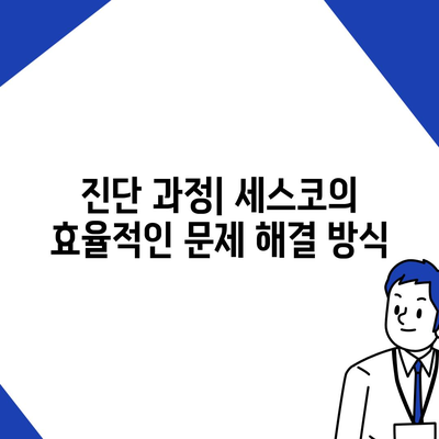 강원도 태백시 장성동 세스코 가격 및 가정집 후기 | 원룸 신청 방법, 진단 및 좀벌래 해결 팁 2024