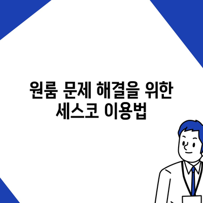 대전시 유성구 장대동 세스코 가격 및 가정집 후기 총정리 | 비용, 신청 방법, 원룸 해결책, 좀벌래 진단 2024