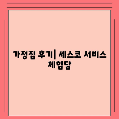 경상북도 울릉군 울릉읍 세스코 가격 및 가정집 후기 | 원룸 신청 방법, 좀벌래 진단, 비용 2024"