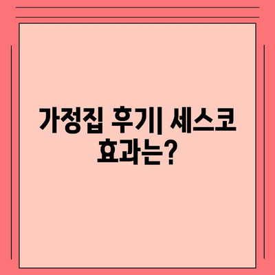 경상남도 산청군 생비량면 세스코 가격 가이드 | 비용, 가정집 후기, 원룸 신청, 좀벌래 해결책 2024