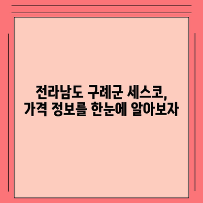 전라남도 구례군 산동면 세스코 가격 및 신청 방법 | 가정집 후기, 원룸 비용, 좀벌래 진단 2024"