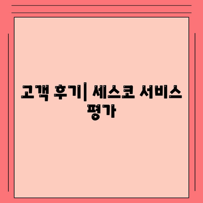 강원도 횡성군 갑천면 세스코 가격 및 후기 총정리 | 비용, 가정집 신청, 원룸 진단, 좀벌래 해결책 2024