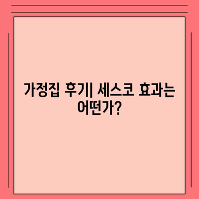 충청북도 진천군 덕산면 세스코 서비스 비용 및 가정집 후기 모음 | 가격, 신청 방법, 좀벌래 해결책 2024