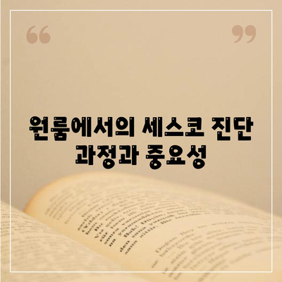 제주도 서귀포시 대정읍 세스코 가격 및 가정집 후기 | 비용, 신청 방법, 원룸 진단, 좀벌래 해결법 2024"