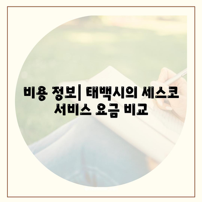 강원도 태백시 구문소동 세스코 가격과 가정집 후기 | 좀벌래 문제 해결, 신청 방법, 비용 정보 2024"