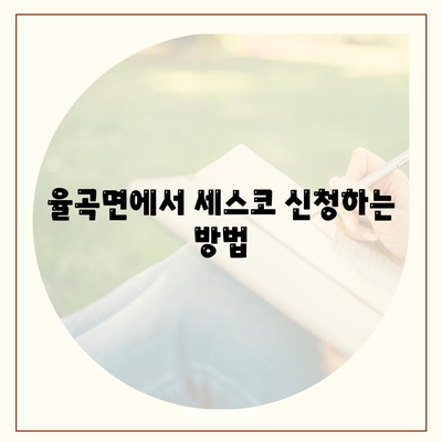 경상남도 합천군 율곡면 세스코 가격 및 서비스 후기 | 비용, 가정집, 원룸, 신청 방법, 좀벌래 해결책 2024