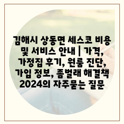 김해시 상동면 세스코 비용 및 서비스 안내 | 가격, 가정집 후기, 원룸 진단, 가입 정보, 좀벌래 해결책 2024