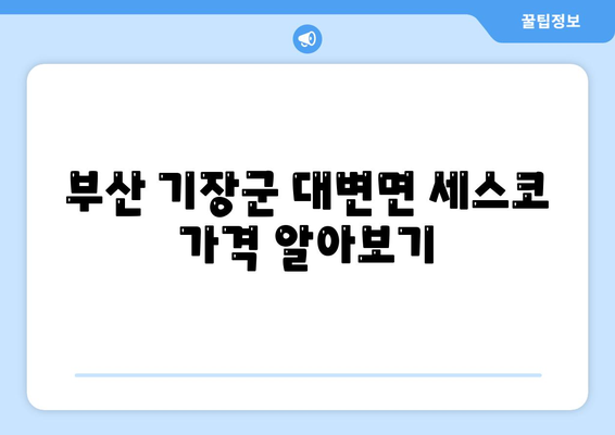 부산시 기장군 대변면 세스코 가격 및 신청 방법 | 가정집 후기, 원룸 대처법, 좀벌래 예방 2024