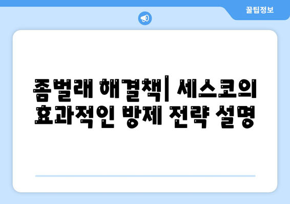 대구시 서구 비산4동 세스코 가격과 가정집 후기 | 비용, 신청 방법, 효과적인 진단 및 좀벌래 해결책 2024