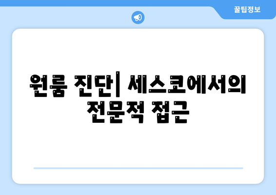 세스코 의성군 안계면 가격 및 신청 방법 총정리 | 가정집 후기, 원룸 진단, 좀벌래 해결법 2024