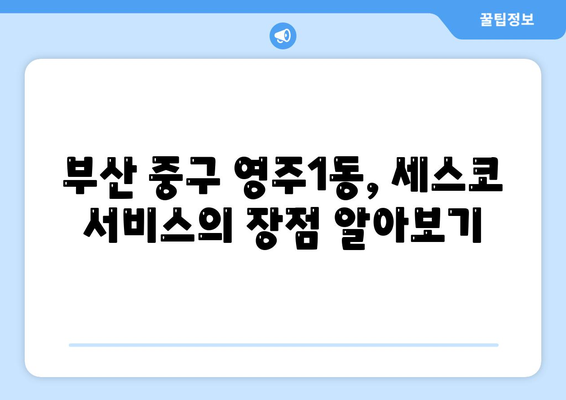 부산시 중구 영주1동 세스코 신청 가이드 | 가격, 비용, 후기, 원룸 진단, 좀벌래 해결책 2024