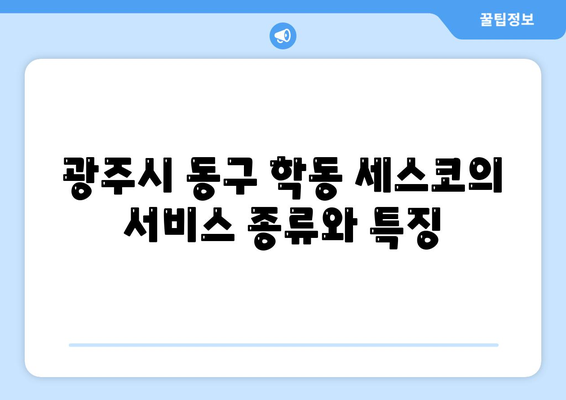 광주시 동구 학동 세스코 가격 및 서비스 안내 | 비용, 가정집 후기, 원룸 신청, 좀벌래 해결 방안 2024