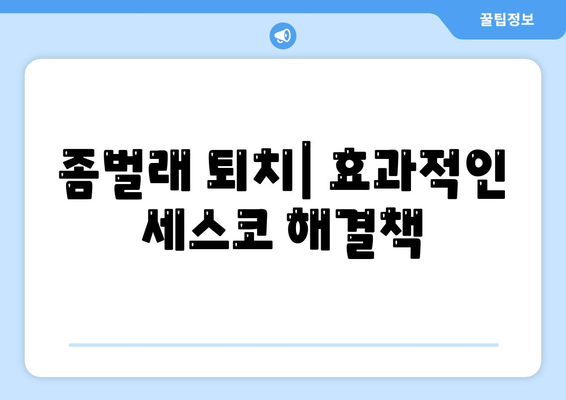 서울시 도봉구 창제3동 세스코 가격 및 신청 방법 가이드 | 비용, 가정집 후기, 원룸, 진단, 좀벌래 해결책 2024