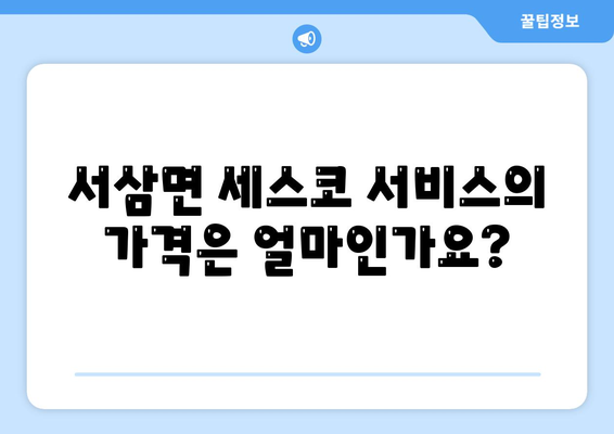 전라남도 장성군 서삼면 세스코 가격 및 신청 방법 | 가정집 후기, 원룸 진단, 좀벌래 해결책 2024"