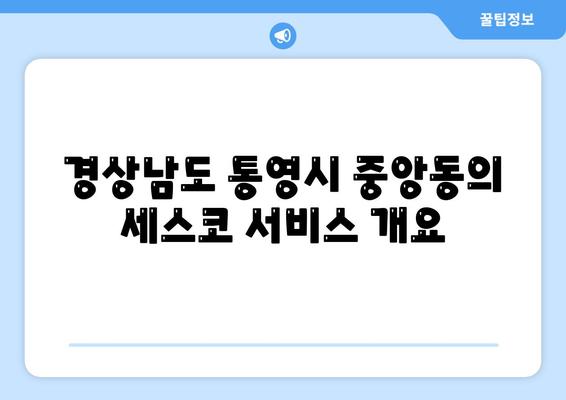 경상남도 통영시 중앙동 세스코 가격 및 서비스 안내 | 가정집 후기, 원룸 신청 방법, 좀벌래 진단 2024