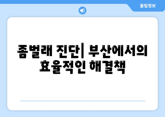 부산시 동구 좌천1동 세스코 가격 및 서비스 이용 가이드 | 비용, 가정집 후기, 원룸 신청 방법, 좀벌래 진단 2024