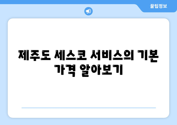 제주도 제주시 조천읍 세스코 가격 및 서비스 가이드 | 비용, 가정집 후기, 원룸 신청, 진단, 좀벌래 해결책 2024