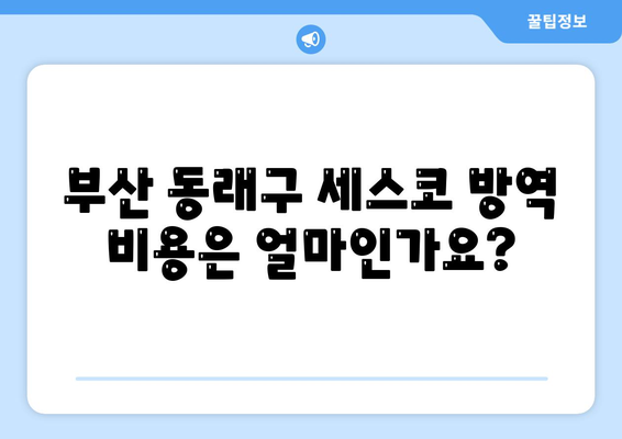 부산시 동래구 사직1동 세스코 가정집 방역 비용과 후기 | 좀벌래 해결법, 신청 방법, 2024년 최신 정보