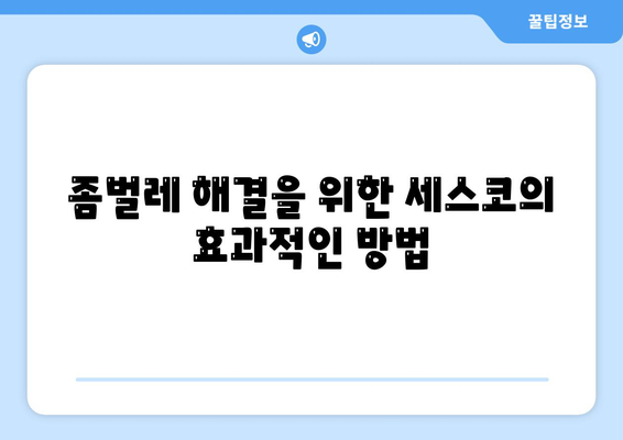 전라남도 장성군 서삼면 세스코 가격 및 신청 방법 | 가정집 후기, 원룸 진단, 좀벌래 해결책 2024"