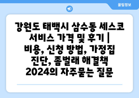 강원도 태백시 삼수동 세스코 서비스 가격 및 후기 | 비용, 신청 방법, 가정집 진단, 좀벌래 해결책 2024