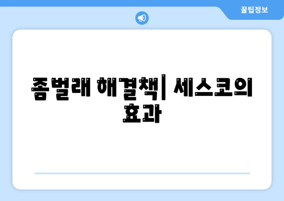 대구시 수성구 상동 세스코 가격 및 가정집 후기 2024 | 비용, 신청 방법, 좀벌래 해결책, 원룸 진단 팁