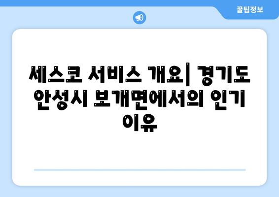 경기도 안성시 보개면 세스코 가격 및 신청 방법 총정리 | 비용, 후기, 가정집, 좀벌래 해결책 2024