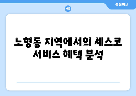 제주도 제주시 노형동 세스코 서비스 가격 가이드 | 비용, 가정집 후기, 원룸 신청 및 진단 방법 2024"