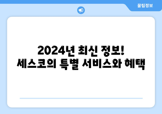 부산 사상구 모라3동 세스코 가격과 후기 | 가정집, 원룸 신청 방법 & 효과적인 진단 팁 2024