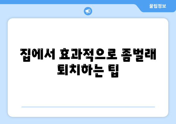 부산시 기장군 일광면 세스코| 가격, 후기, 집 신청 방법 및 효과적인 좀벌래 퇴치 팁 | 비용, 가정집 후기, 원룸 진단, 가입 2024