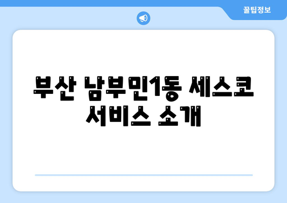 부산시 서구 남부민1동 세스코 가격 및 가정집 후기 | 좀벌래 해결 방법, 신청 및 가입 안내 2024