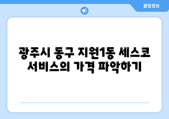 광주시 동구 지원1동 세스코 가격과 가정집 후기 2024 | 비용, 신청 방법, 좀벌래 문제 해결 팁