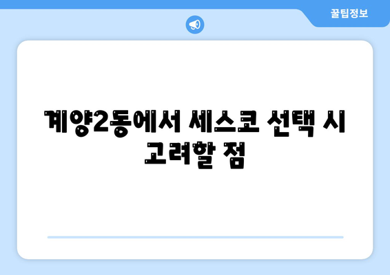 인천시 계양구 계양2동 세스코 가정집 후기 및 가격 | 비용 | 신청 방법 | 좀벌래 해결 팁 2024"