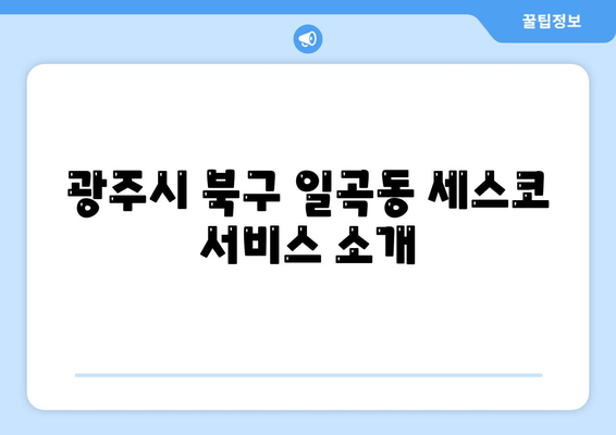 광주시 북구 일곡동 세스코 2024| 가격, 신청 방법, 가정집 후기 및 좀벌래 진단 팁 | 비용, 원룸, 가입 정보"