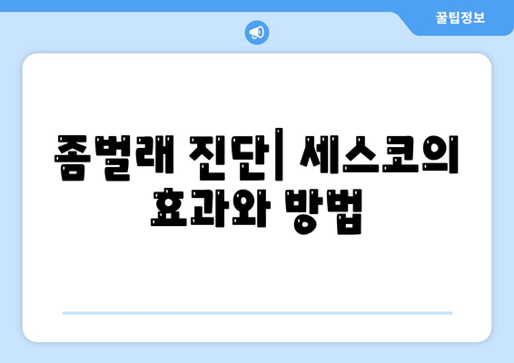 경상남도 통영시 중앙동 세스코 가격 및 서비스 안내 | 가정집 후기, 원룸 신청 방법, 좀벌래 진단 2024