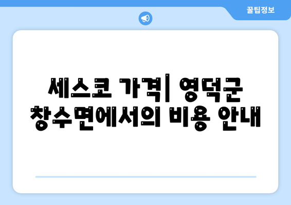 경상북도 영덕군 창수면의 세스코 가격과 가정집 후기 | 비용, 신청 방법, 좀벌래 해결책 2024