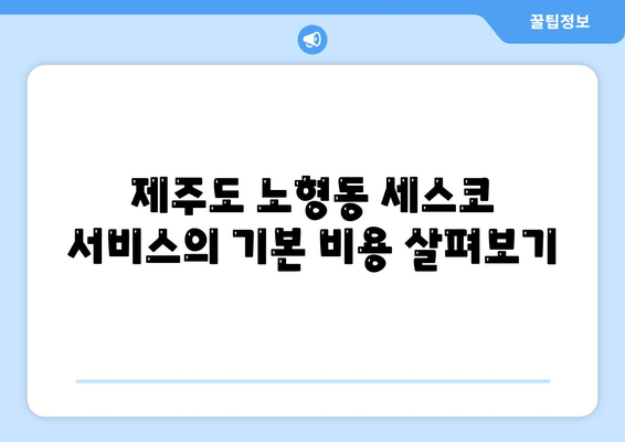 제주도 제주시 노형동 세스코 서비스 가격 가이드 | 비용, 가정집 후기, 원룸 신청 및 진단 방법 2024"