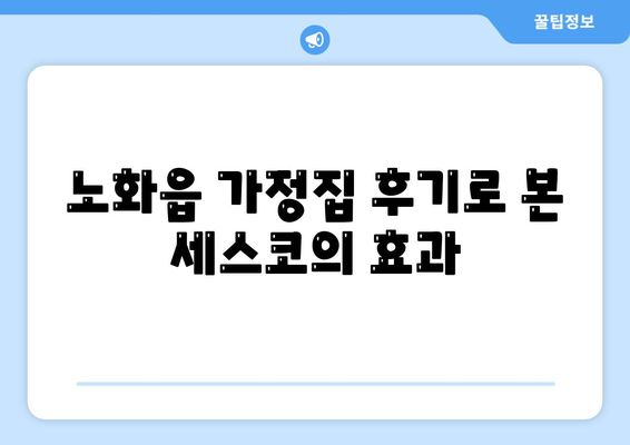 전라남도 완도군 노화읍 세스코 가격 및 서비스 안내 | 가정집 후기, 신청 방법, 진단, 좀벌래 해결 팁 2024