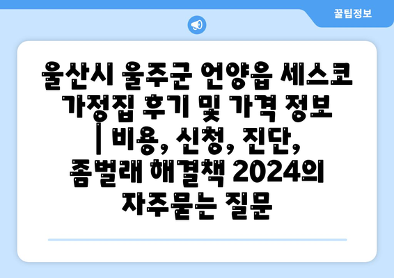 울산시 울주군 언양읍 세스코 가정집 후기 및 가격 정보 | 비용, 신청, 진단, 좀벌래 해결책 2024