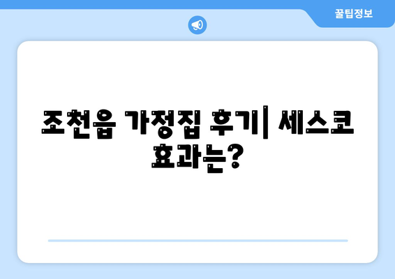 제주도 제주시 조천읍 세스코 가격 및 서비스 가이드 | 비용, 가정집 후기, 원룸 신청, 진단, 좀벌래 해결책 2024