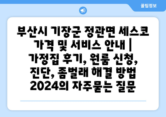 부산시 기장군 정관면 세스코 가격 및 서비스 안내 | 가정집 후기, 원룸 신청, 진단, 좀벌래 해결 방법 2024