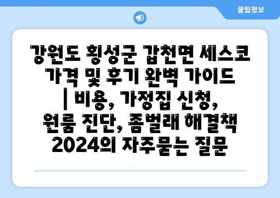 강원도 횡성군 갑천면 세스코 가격 및 후기 완벽 가이드 | 비용, 가정집 신청, 원룸 진단, 좀벌래 해결책 2024