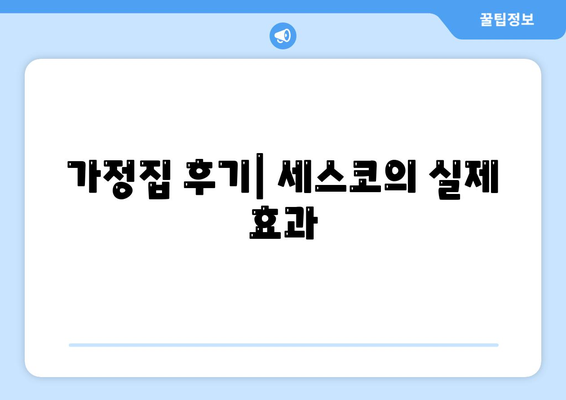 제주도 제주시 한림읍 세스코 비용, 신청 방법 및 가정집 후기 총정리 | 가격, 진단, 좀벌래 관리, 원룸 해결책 2024