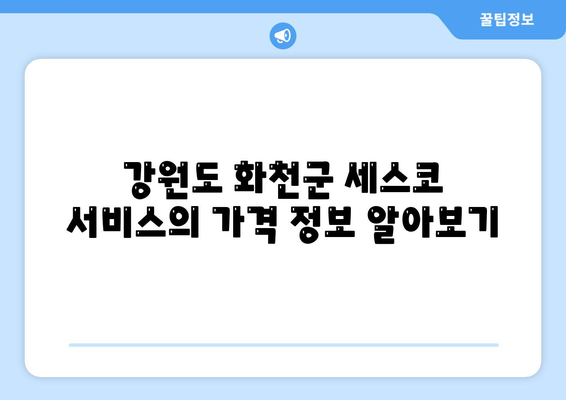 강원도 화천군 사내면 세스코 가격 및 가정집 후기 2024 | 비용, 신청 방법, 좀벌래 해결책, 원룸 진단