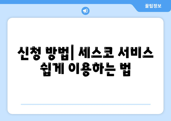 강원도 화천군 사내면 세스코 가격 및 가정집 후기 2024 | 비용, 신청 방법, 좀벌래 해결책, 원룸 진단